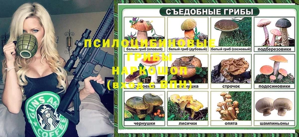 ешки Аркадак