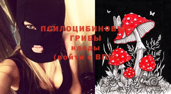 первитин Арсеньев