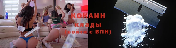 ешки Аркадак