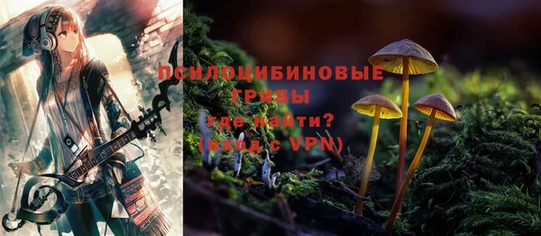 ешки Аркадак