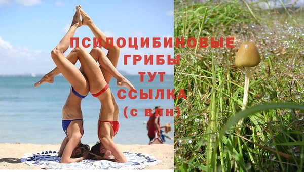 первитин Арсеньев