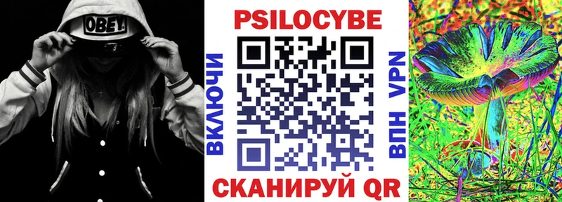 Купить где  Ступино  Псилоцибиновые грибы мицелий 