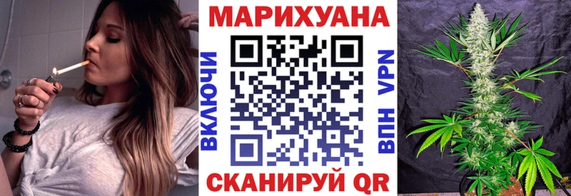 Купить где  Ступино  МАРИХУАНА сатива 